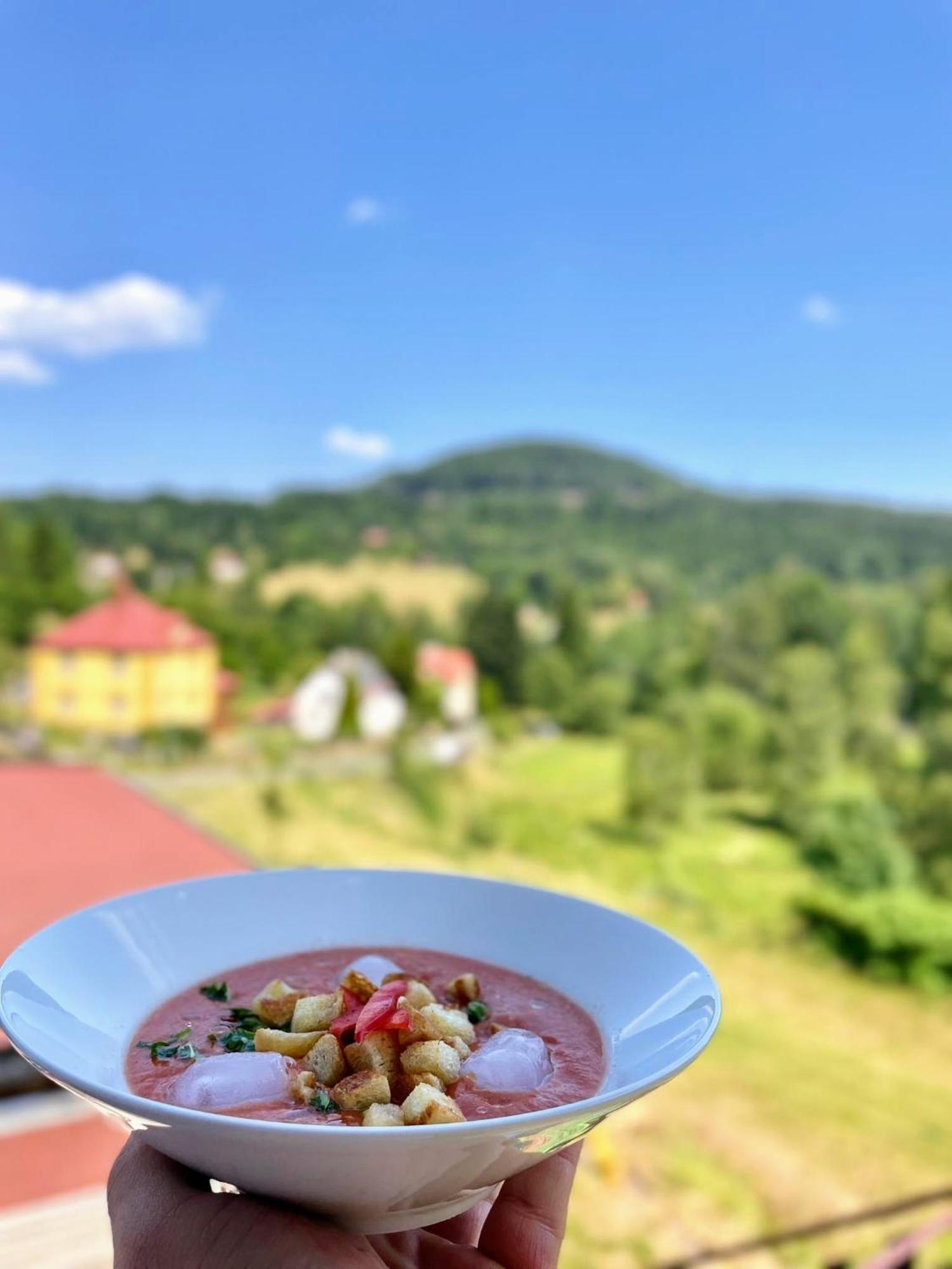 Pension Helene S Mini Pivovarem Kytlice Buitenkant foto