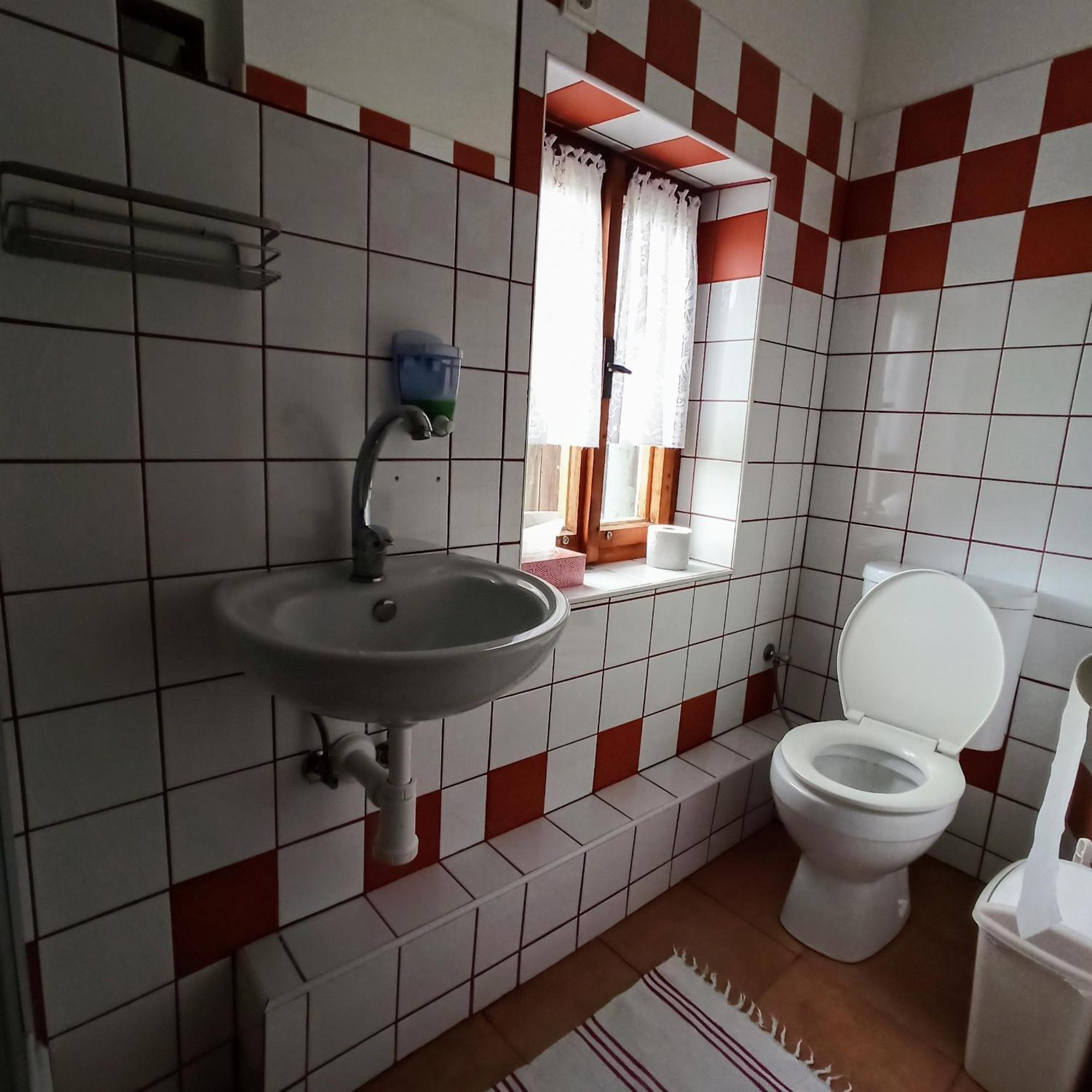 Pension Helene S Mini Pivovarem Kytlice Buitenkant foto